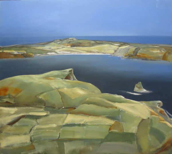 NZ Art The Chathams 1 by Sue Collins