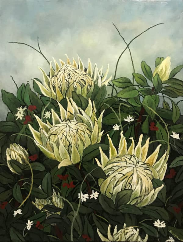 Wild-White-Proteas