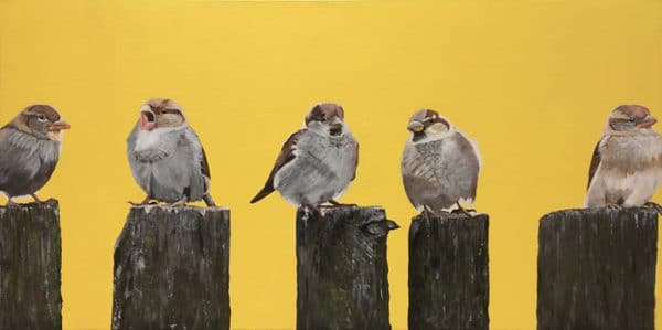 Sparrows - Yellow Dawn by Clive Jepson