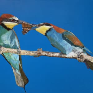 Bird painting - The Courtship, by Clive Jepson