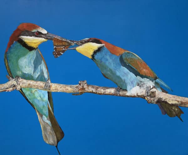 Bird painting - The Courtship, by Clive Jepson