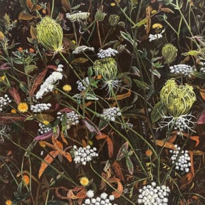 Botanical painting - Meola Reef, Queen Anne's Lace 1 by Sarah Chetwin