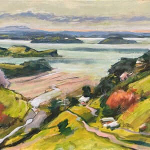 Landscape - Matakana by John Horner