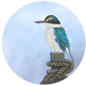 Bird painting - Kingfisher Roped by Claire Erica