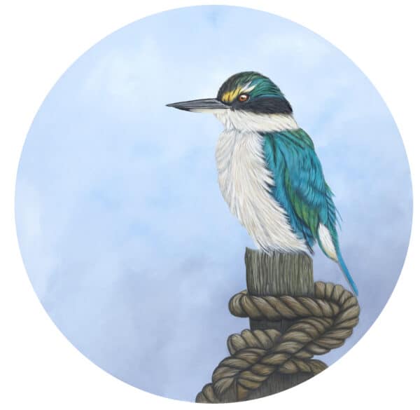 Bird painting - Kingfisher Roped by Claire Erica