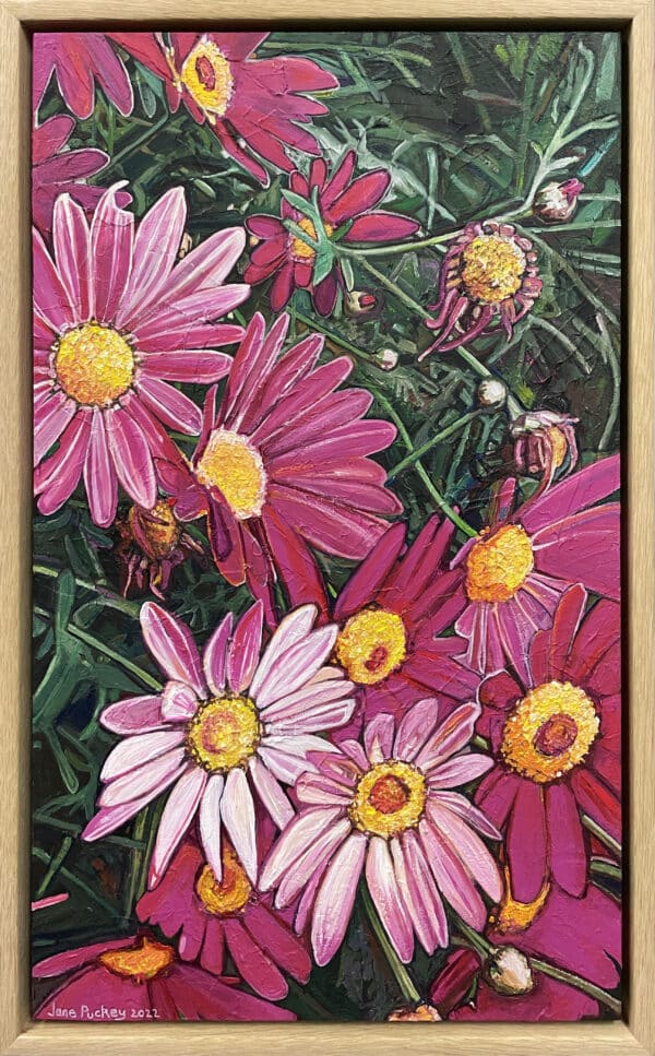 Botanical painting - Darling Margarite by Jane Puckey