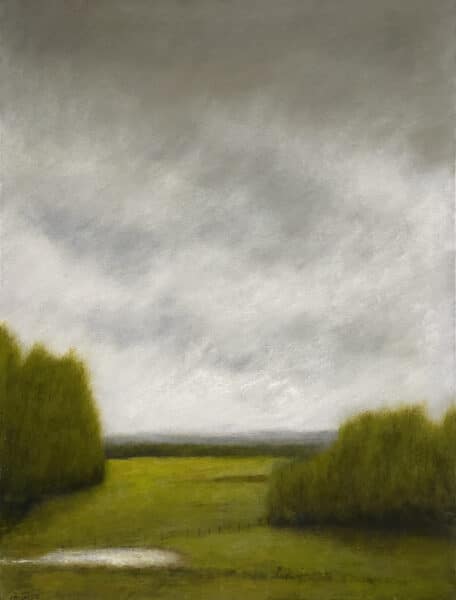 Landscape - Field With Poplars by Donna North