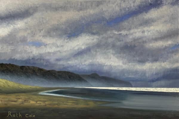 Landscape - Muriwai Looking North by Ruth Cole