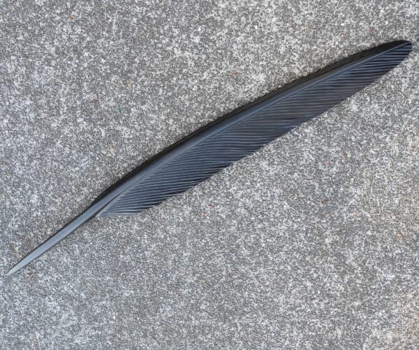 Feather sculpture - Rere (flight), by Mat Scott