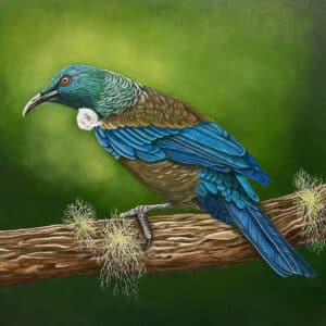 Native bird painting - Spirit Tui by Claire Erica